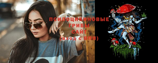 МДПВ Переславль-Залесский