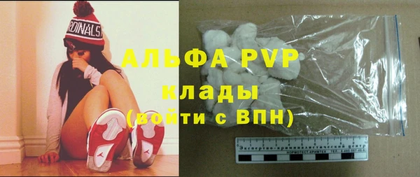 гидра Пересвет