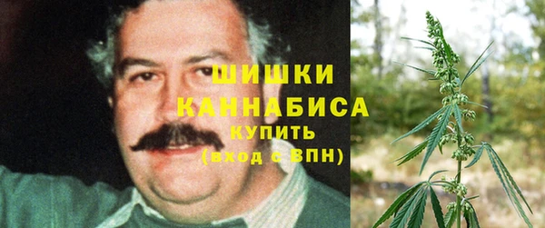 гидра Пересвет