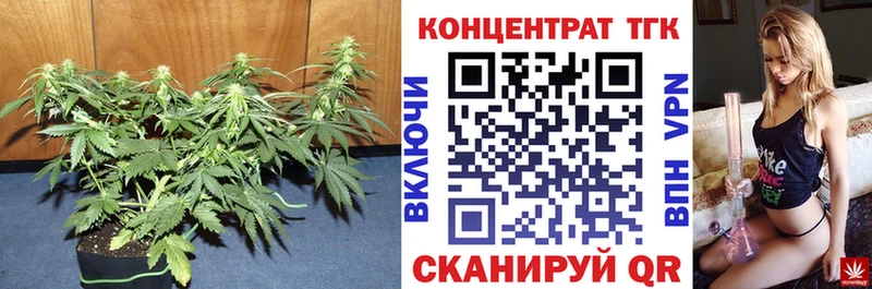 ТГК жижа  Снежногорск 