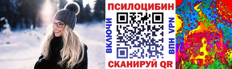 Псилоцибиновые грибы Psilocybine cubensis  продажа наркотиков  Снежногорск 