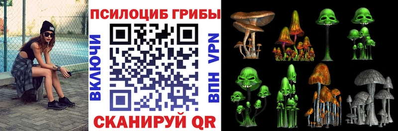 Псилоцибиновые грибы мицелий Снежногорск