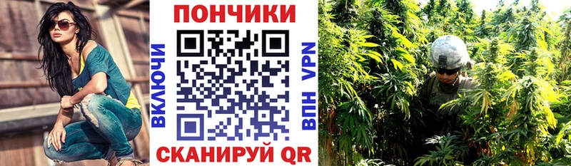 Конопля план  Снежногорск 